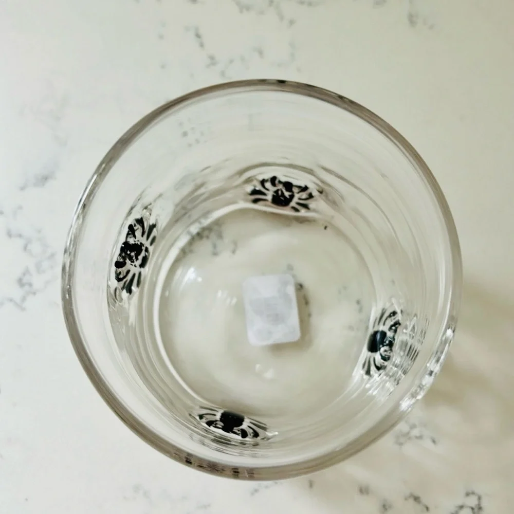 Crate&Barrel Halloween Spider 🕷️ Icon Double Old-Fashioned Glass